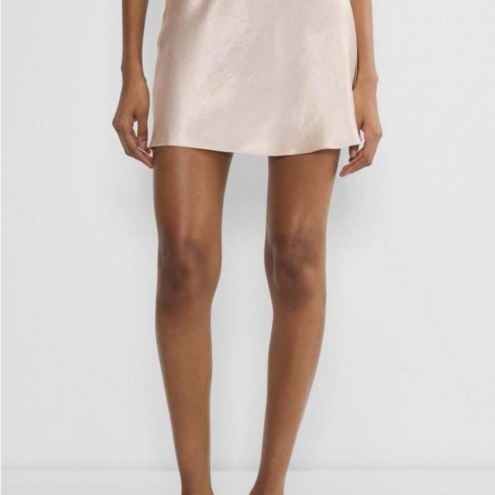 Aritzia Babaton Slip Satin Mini Skirt